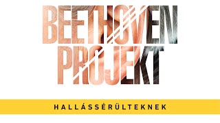 Beethovenprojekt hallássérülteknek [upl. by Ramoj]