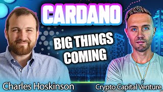 Charles Hoskinson Interview Cardano  The Path To A Billion Users [upl. by Ajup642]