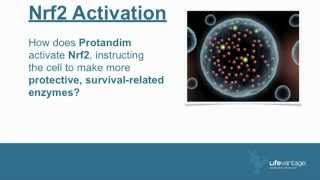 Dr Marvin  The Truth How amp Why Protandim Works [upl. by Sweatt]