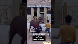 CAVALO CIUMENTO EU GOSTO É ASSIM EU TÔ FEIO SEM DINHEIRO BATISTA SILVA [upl. by Kirat799]