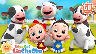 Mi Vaquita Mu Mu  Canción de Sonidos de Animales  LiaChaCha en Español  Canciones Infantiles [upl. by Brechtel]