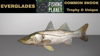 Fishing Planet EVERGLADES COMMON SNOOK Trophy amp Unique [upl. by Adlitam]