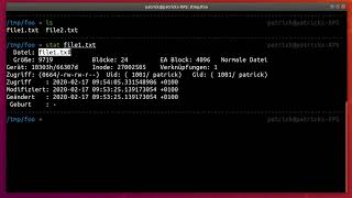 How to grab a detailed file information in Linux Bash [upl. by Adnarb]