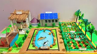 Integrated Farming Agriculture model  integrated farming model science project [upl. by Saimerej458]