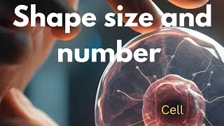 Cell  Shape  Size Number  Part3  Structure of Cell  cell science biology cytology [upl. by Evelin]