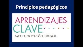 14 PRINCIPIOS PEDAGÓGICOS APRENDIZAJES CLAVE NUEVO MODELO EDUCATIVO [upl. by Velma434]