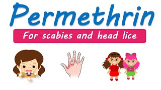 Scabies  How to apply Permethrin lotion [upl. by Genevieve]