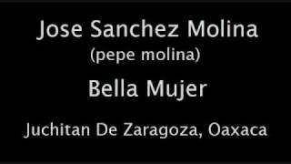 Pepe molina Bella mujer [upl. by Ulphiah669]