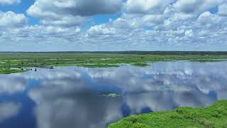 Paynes Prairie Preserve wDJI Mavic 3 Pro  Epic Nature Shots [upl. by Simmons529]