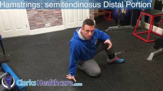 Hamstrings Semitendinosus Distal Portion Training Exercise In Total Range [upl. by Elbertine]