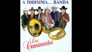 Los Caminantes A Todisima Banda CD Completo [upl. by Kolnos]