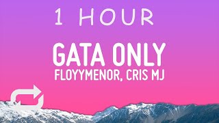 FloyyMenor  GATA ONLY ft Cris MJ LetraLyrics  1 hour [upl. by Eeltrebor900]