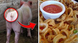 Top 10 Most Bizarre Foods From Around The Globe [upl. by Lewse428]