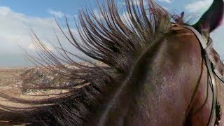 Horse Riding 360 Video  360° VR 4K  GoPro Fusion [upl. by Helman]