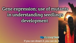 Gene expression use of mutants in understanding seedlings development  easy notes [upl. by Ahseenat]