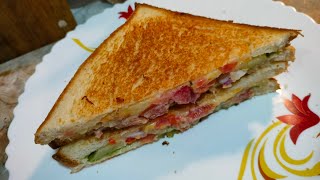 Mumbai Street Style Cheese sandwich  At Home [upl. by Ehcsrop144]