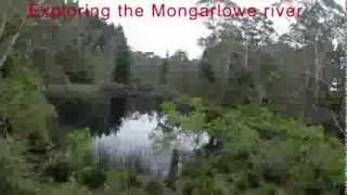 Exploring the Mongarlowe river [upl. by Amisoc564]