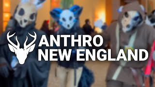 Anthro New England 2023 Fursuit Parade [upl. by Ytsihc]