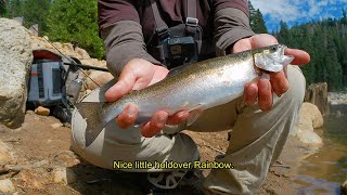 Lazy Bait Sit Wait PowerBait Fishing for Trout Ice House Reservoir [upl. by Thomey]