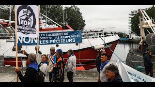 En Normandie nouvelles manifestations des pêcheurs contre les éoliennes offshore [upl. by Kresic278]