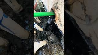 Restoring an 89 Year Old Cast Iron Pipe plumbing shorts [upl. by Ezra]