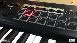 Korg Kross 2 Indian Sounds  Part 3 [upl. by Anaya]