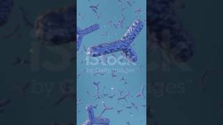 Structure of antibodies  immunoglobulins [upl. by Aluino]