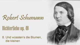 Schumann  Dichterliebe op48  no8wmv [upl. by Arenahs]