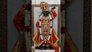 06 Nov Giriraj ji Mangala Aarti Darshan DIVYASHANKHNAADSHRINATHJI shrinathjidarshan [upl. by Nnylav]