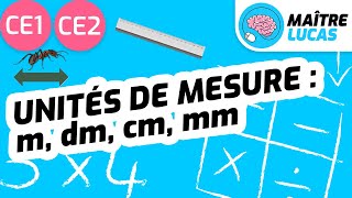 Unités de mesure  m dm cm mm CE1  CE2  Cycle 2  Mathématiques  Grandeurs et mesures [upl. by Kieran476]