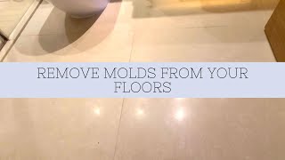 Mold removal made easy [upl. by Janet239]