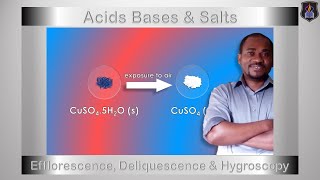 Acids Bases and Salts  Efflorescence Deliquescence amp Hygroscopy  Chemistry Tutorial [upl. by Aligna]