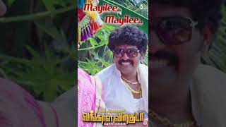 மயிலே மயிலே  வங்காள விரிகுடா vangalaviriguda love [upl. by Pretrice276]