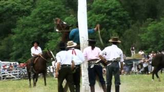 FOLKLORE  LOS FRONTERIZOS  LOS DE SALTA  LOS QUILLA HUASI LOS VISCONTI ETC [upl. by Uzziel738]