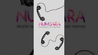 Numbara  Brijesh shrestha x SRT x Fuba Tamang  out now BrijeshShrestha fubatamang [upl. by Fan]