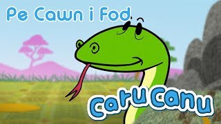 Caru Canu  Pe Cawn i Fod Welsh Childrens Song [upl. by Biddy]