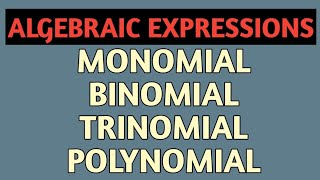 Types of algebraic expressions  monomial binomial trinomial and polynomial class 7 chapter 12 [upl. by Ariela]