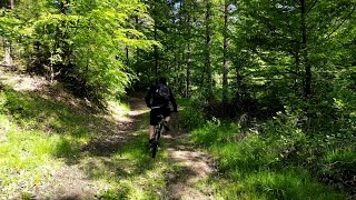 Riding My XC bike Through the Forest with a DJI Mini 3 Pro Drone Following Me [upl. by Nej]