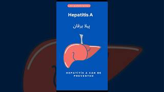 Why Hepatitis A is Spreading shorts hepatitis youtubeshorts [upl. by Ainnos]