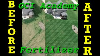 Before and After Fertilizer Results  I Did Not Use Milorganite This Time [upl. by Sybil23]