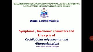 Lecture 19 4  Symptoms and life cycle of Helminthosporium  PAT 201 [upl. by Eciral]