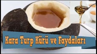 Siyah Turpun Faydaları Nelerdir Kara Turp Bal Kürünün Yapılışı [upl. by Atela]