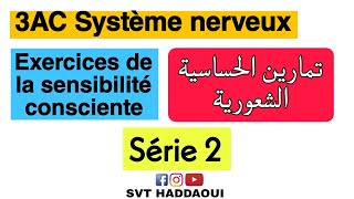 3AC la sensibilité consciente  Série dexercices 2 svt 3ac college maroc svthaddaoui [upl. by Anaujit]