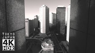 【BW】NishiShinjuku Walking in Tokyos Skyscrapers 4K HDR（Relaxing Ambient Sounds in Japan） [upl. by Cirded]