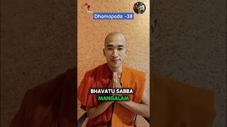 Dhamapada 38 dhammapada buddha buddhism buddhasayings buddhist shorts shortvideo [upl. by Ainadi192]