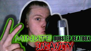 2 MINUTE DUBSTEP BEATBOX INSANITY  LEVELS [upl. by Maiga147]