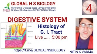 Digestive system Lecture 4 [upl. by Akeenahs]