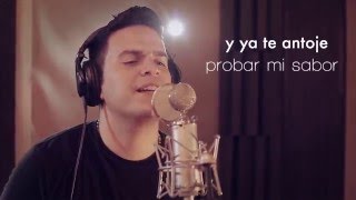 CHE CARRILLO  Probame Lyric Video Oficial HD [upl. by Guthrey750]