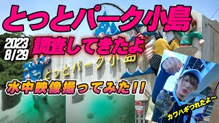 【水中映像あり】とっとパーク小島で釣行！いろいろな魚種を狙って竿をだしましたが… [upl. by Hsirk505]