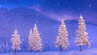 Celtic Christmas Carols Soft Holiday Christmas Music quotChristmas Starry Nightquot by Tim Janis [upl. by Llenrad]